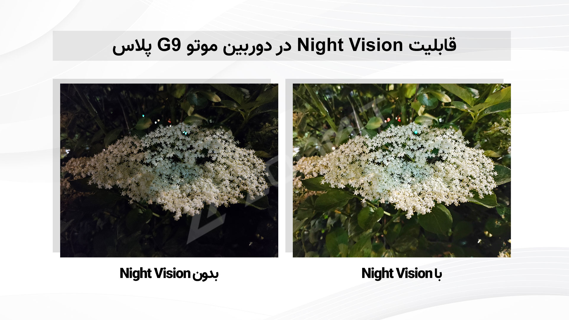 بررسی موتورولا موتو جی ۹ پلاس - عملکرد حالت Night Vision دوربین
