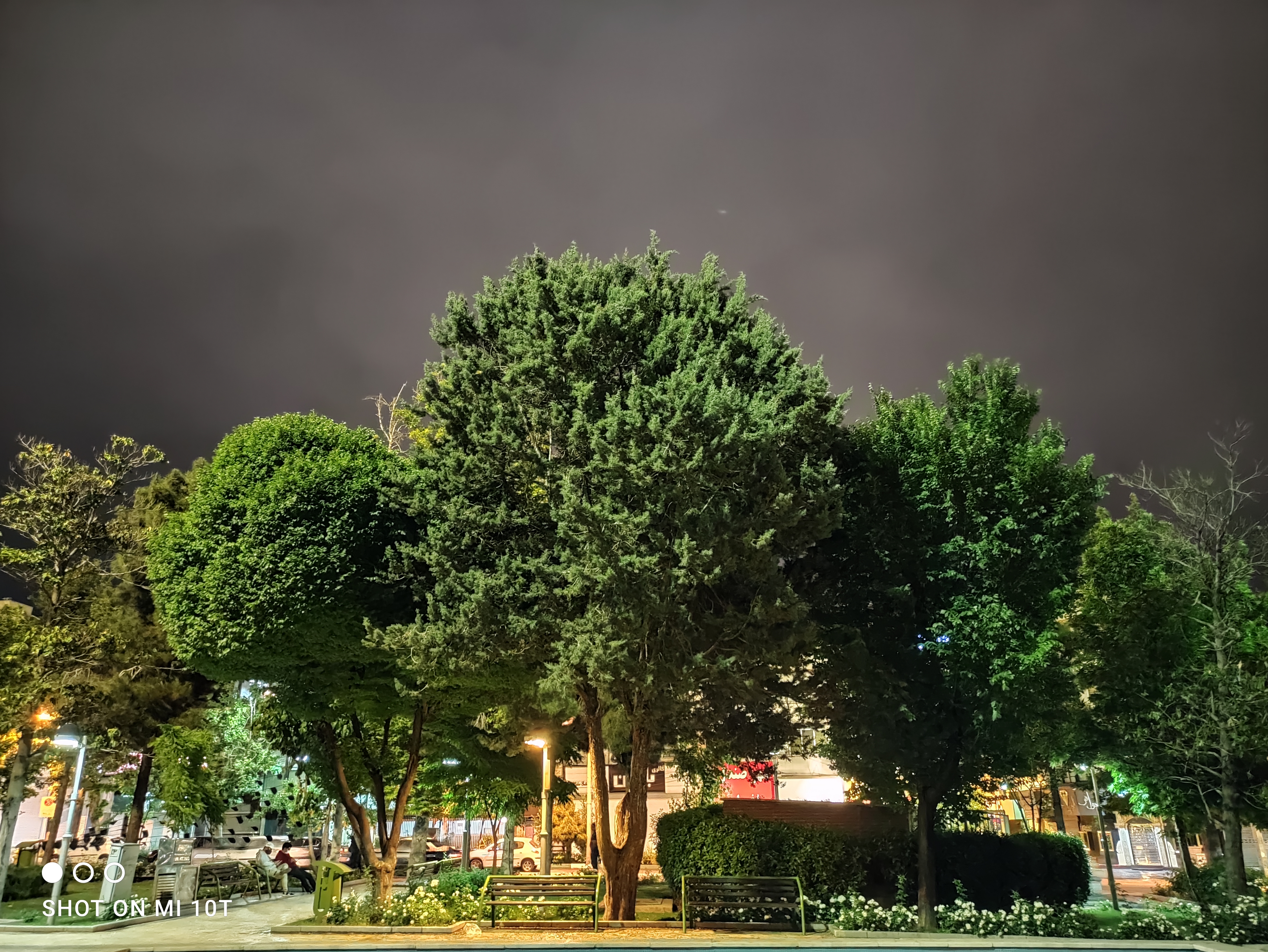 نمونه عکس دوربین اصلی شیائومی می 10 تی - درختان در پارک با حالت عکاسی در شب