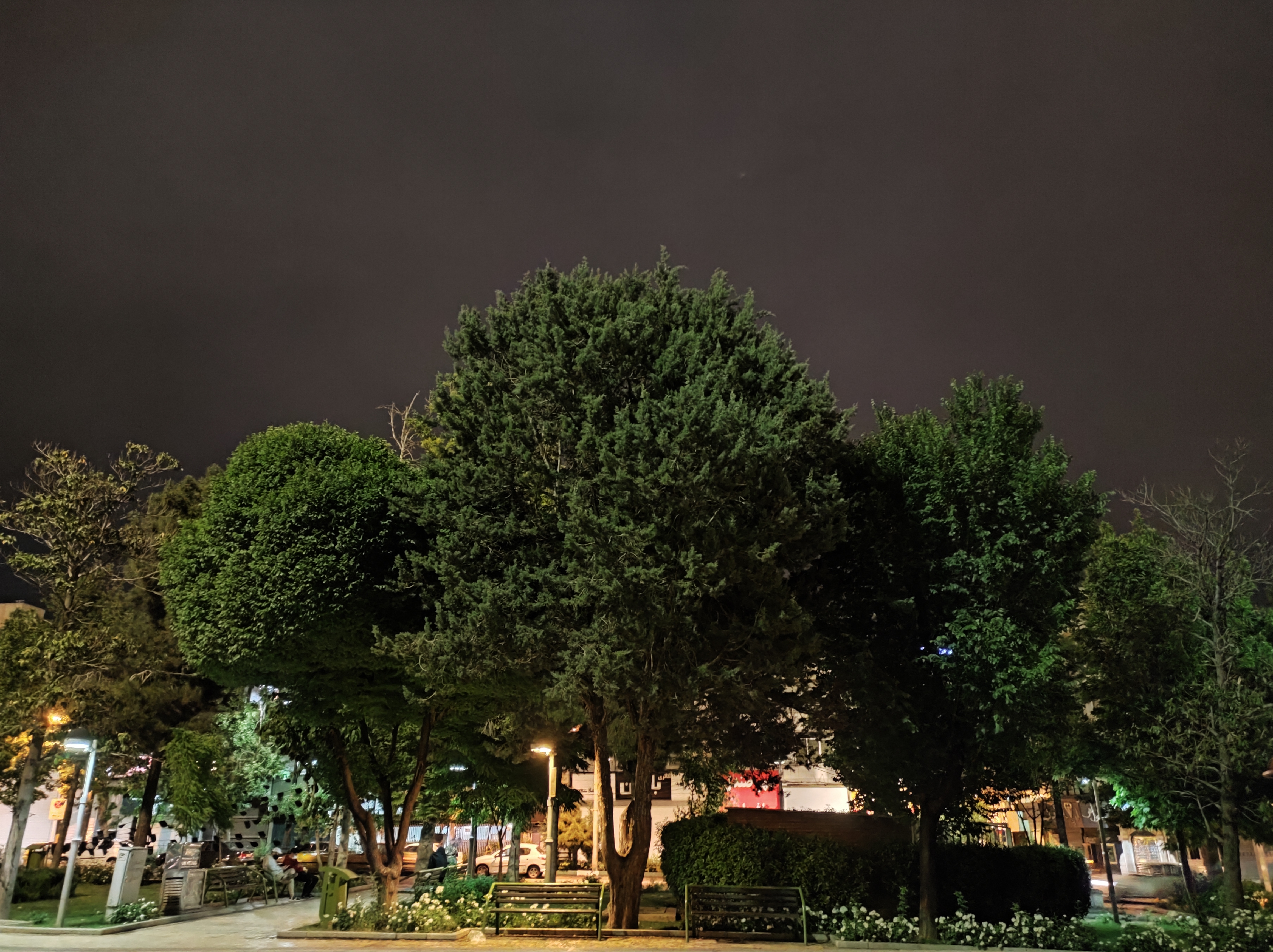 نمونه عکس دوربین اصلی می ۱۱ لایت در محیط تاریک - درختان پارک میدان هفت حوض