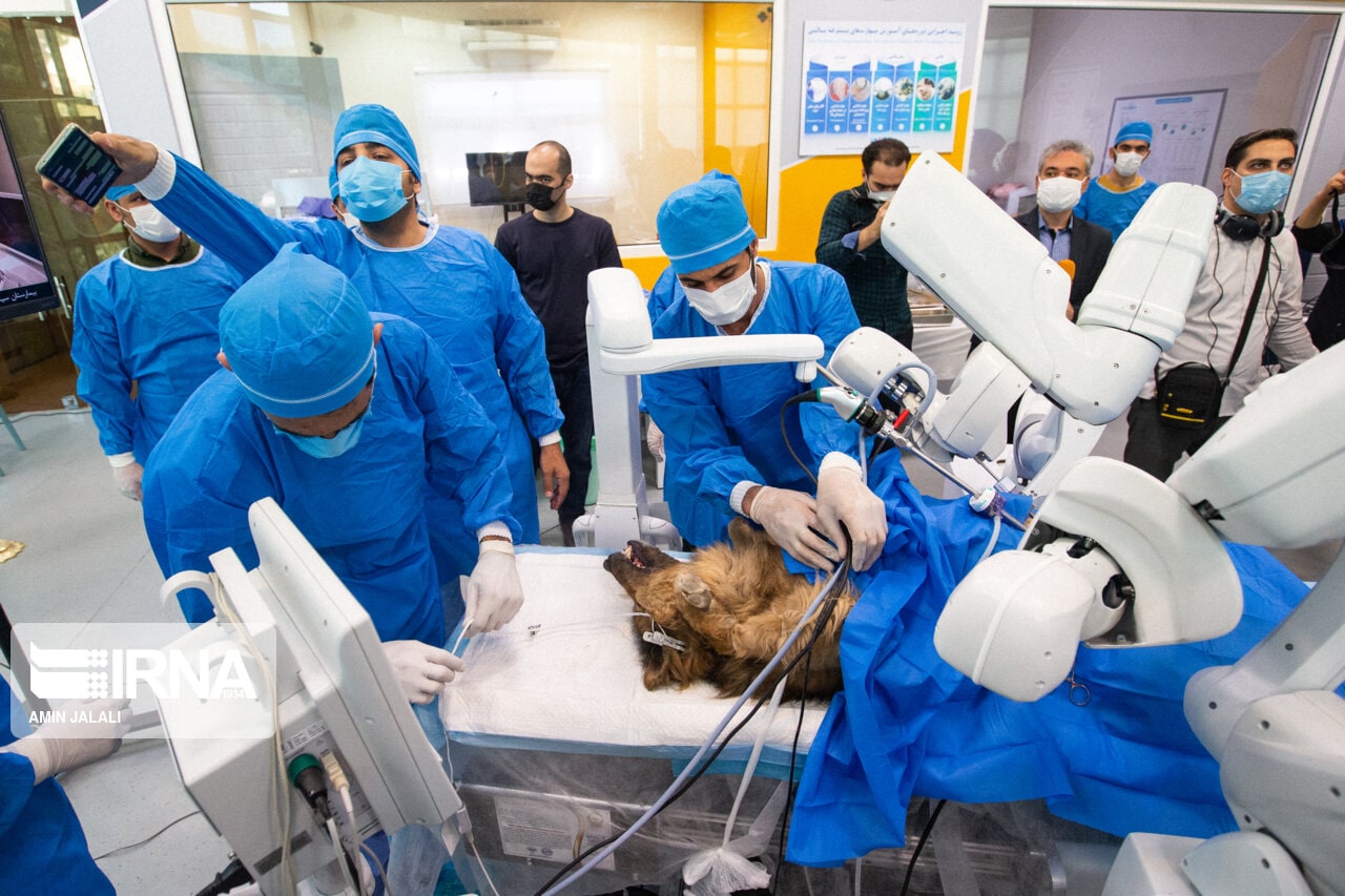 کارکنان اتاق بیهوشی با لباس آبی در اتاق عمل جراحی رباتیک روی سگ در ایران