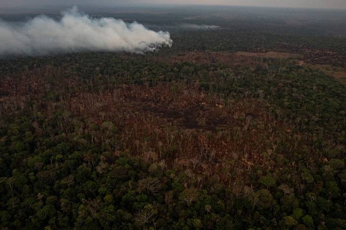 سوزاندن جنگل آمازون در برزیل