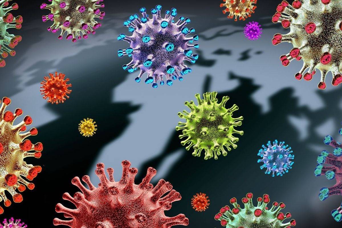 احتمال ظاهرشدن گونه مقاومی از ویروس کرونا وجود دارد