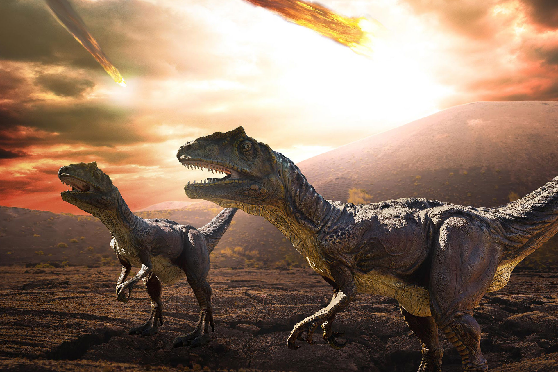 دایناسورهای بزرگ قبل از برخورد سیارکی درمعرض انقراض بودند