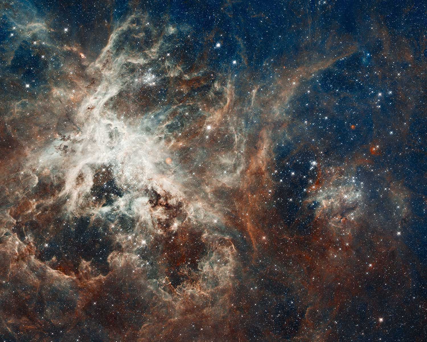سحابی رتیل (Tarantula Nebula)