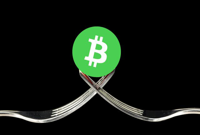 bitcoin cash fork