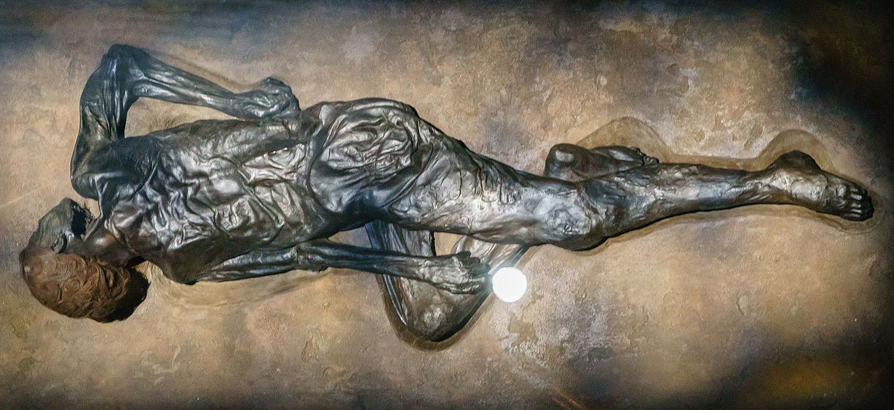 جسد مرد گروبالی در موزه موسگارد در شهر آرهوس، دانمارک 
