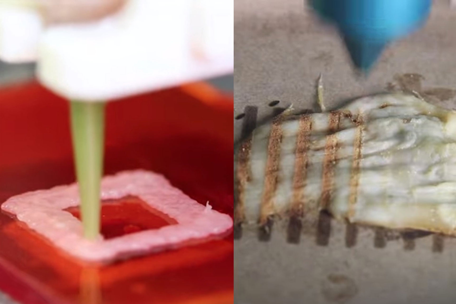 دانشمندان به روش همزمان پخت و پرینت سه‌بعدی مرغ پی بردند