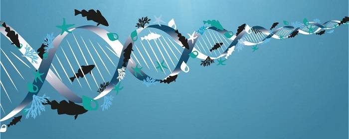 ایجاد گونه های مختلف با تغییرات DNA
