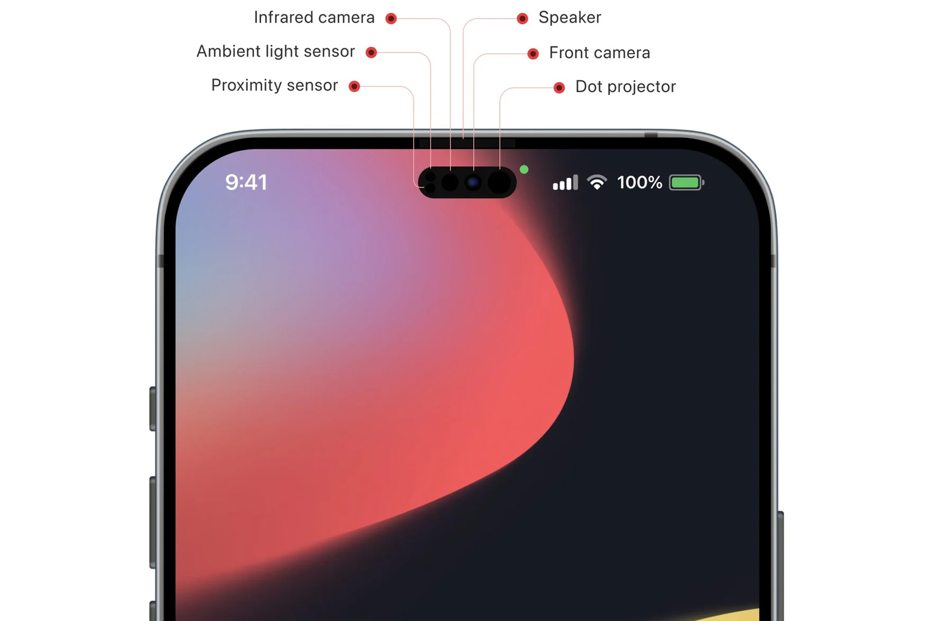 Oval cavity of iPhone 14 / iPhone 14 screen Unofficial image