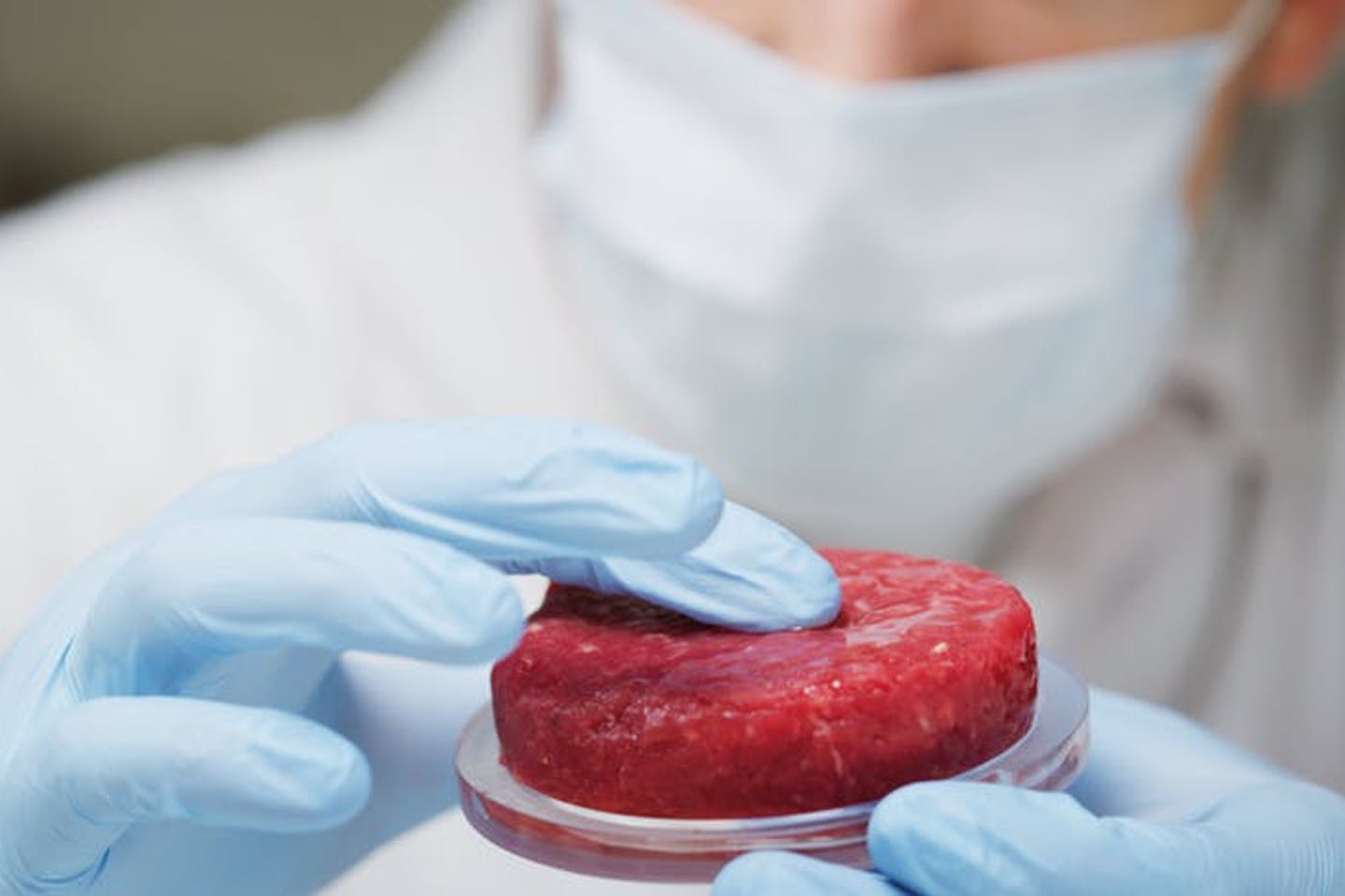 بسیاری از مردم از خوردن گوشت تولیدشده در آزمایشگاه متنفرند