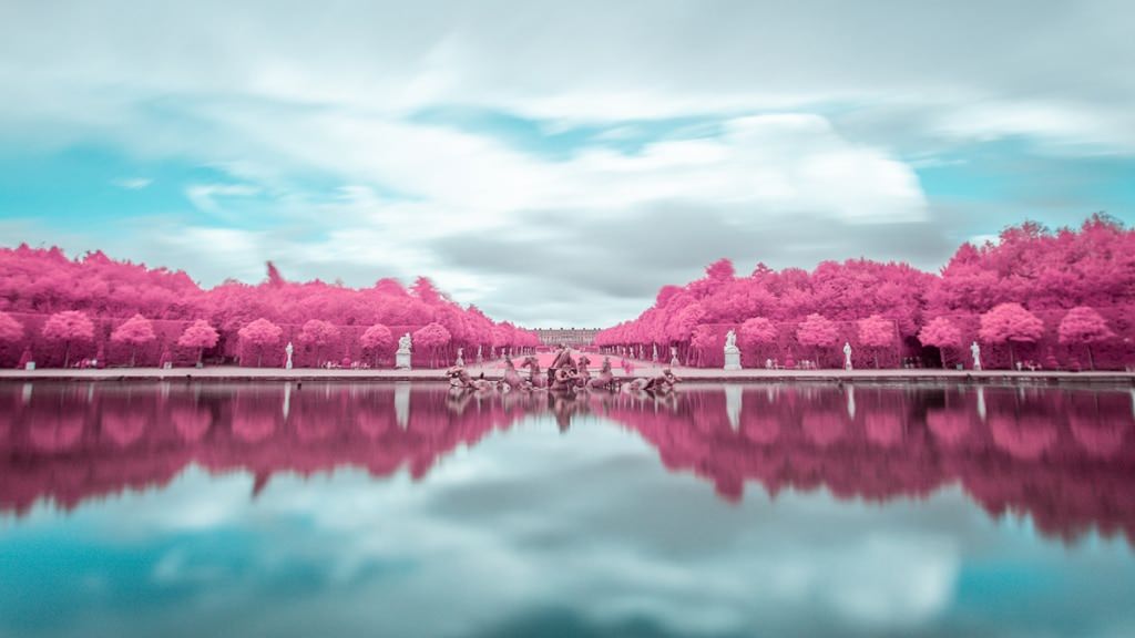 مناظر فرانسه- دریاچه احاطه‌شده با درختان صورتی 