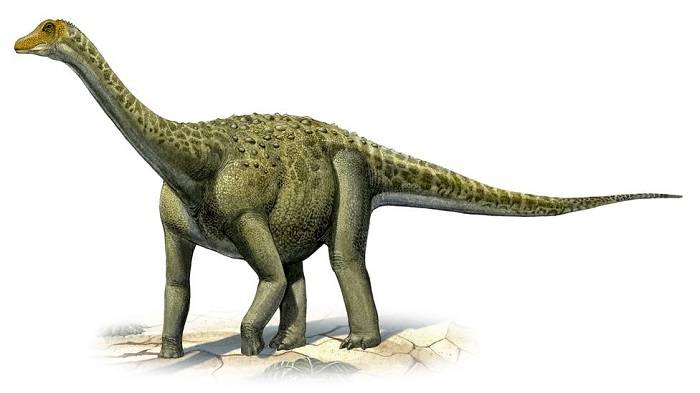 تیتانوسور ایندیکوس / Titanosaurus indicus