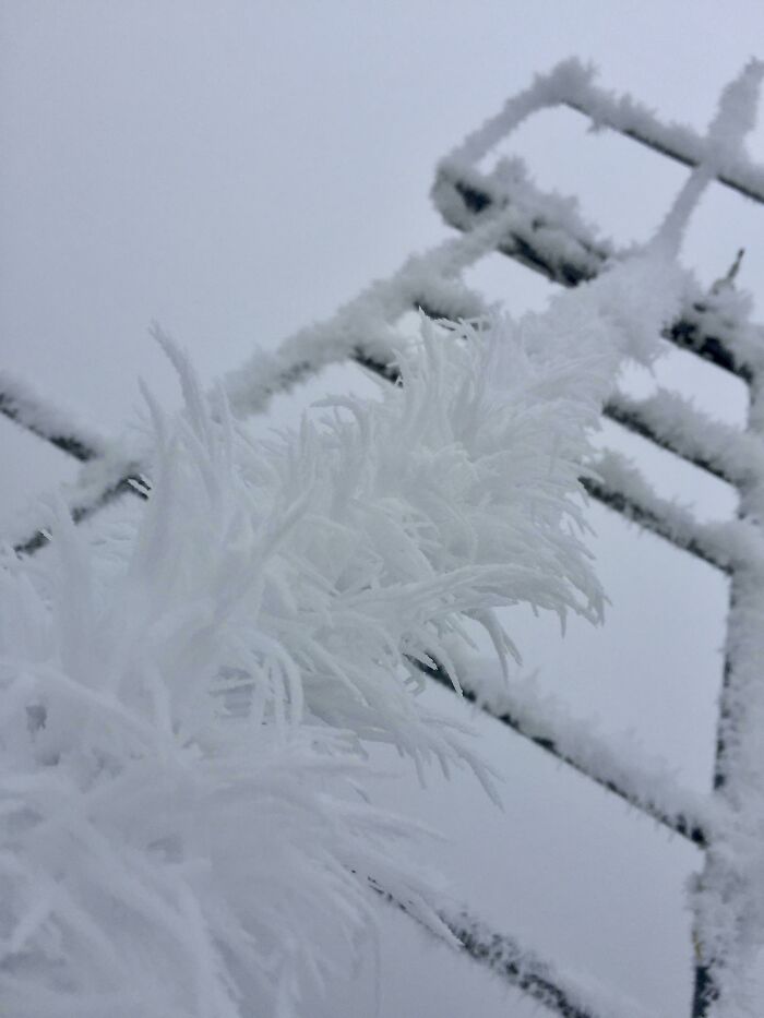 سرما و یخبندان در زمستان/