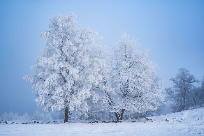 سرما و یخبندان در زمستان/