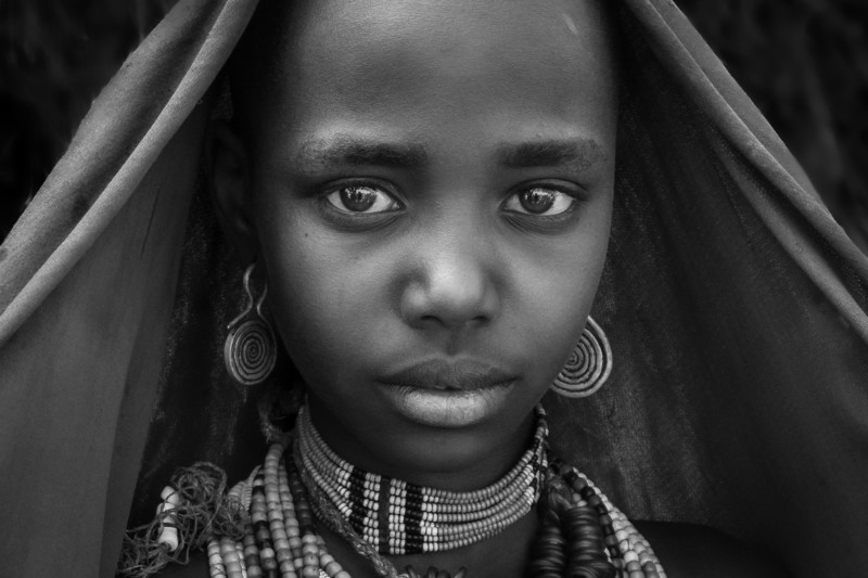  مسابقه Africa in Focus سال ۲۰۲۲ 