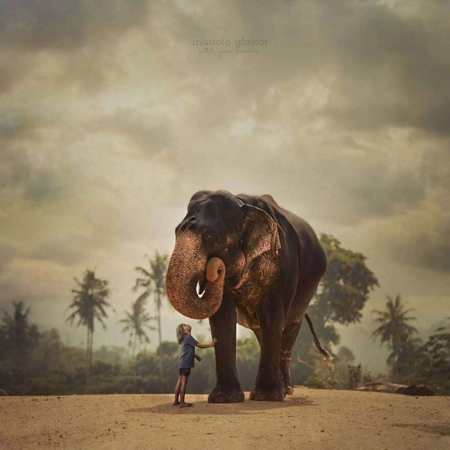 عکس‌های الهام گرفته از ارتباط بین انسان و حیوان‌