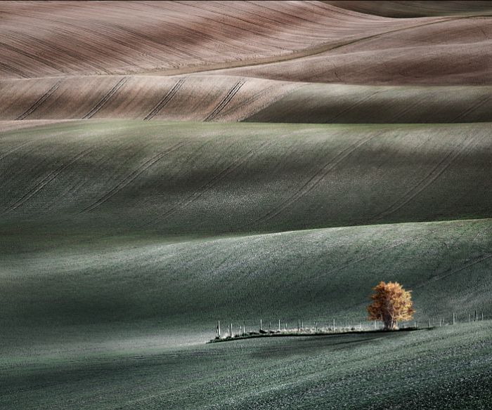 The winners of the 2022 landscape photographer competition