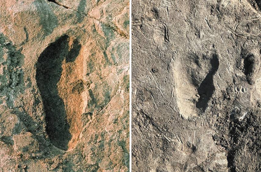 ردپای انسان تباران / footprint