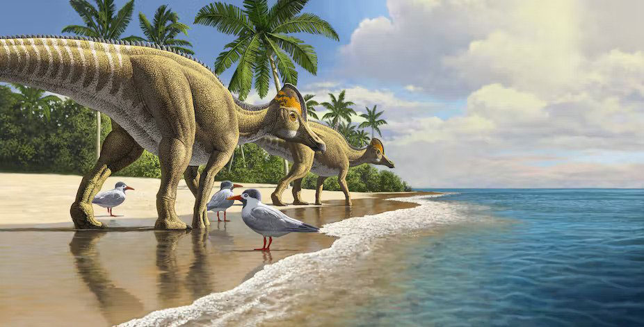 دایناسور بیگانه اودیسه در ساحل