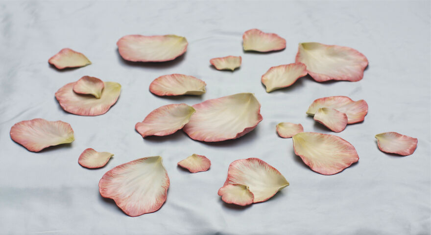 Pink petal ceramic set