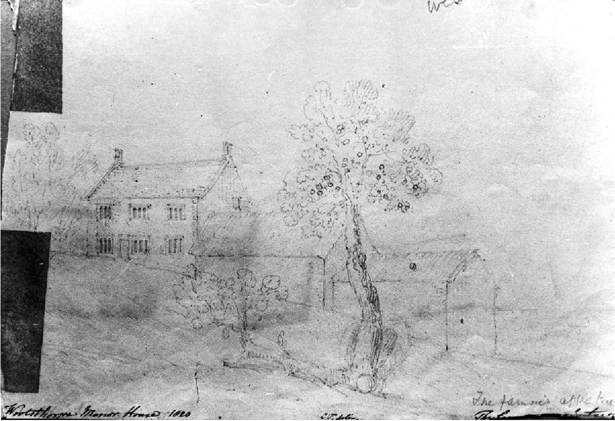 A sketch of the Newton apple tree by Charles Turner