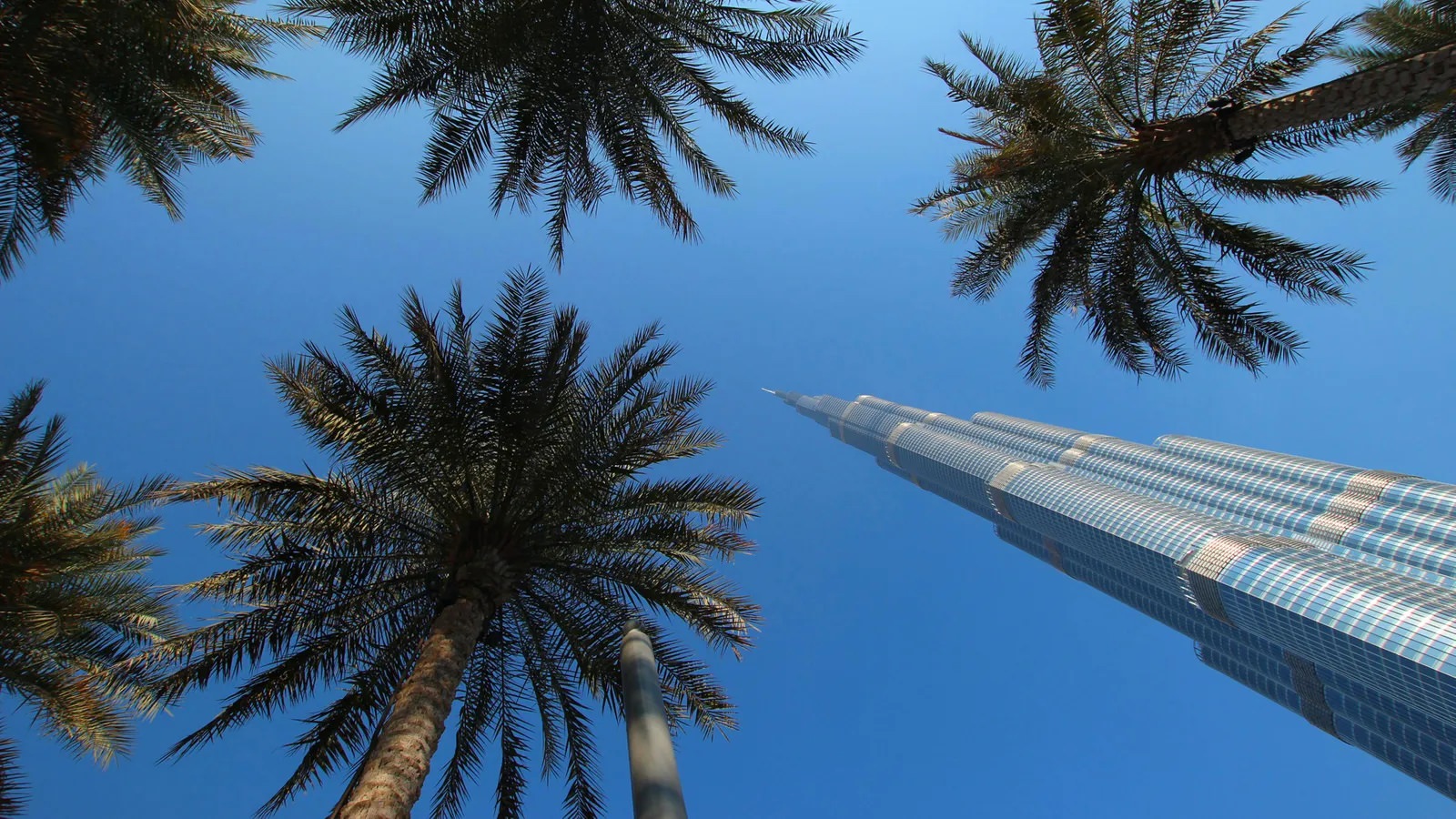 Burj Khalifa Dubai and palm trees