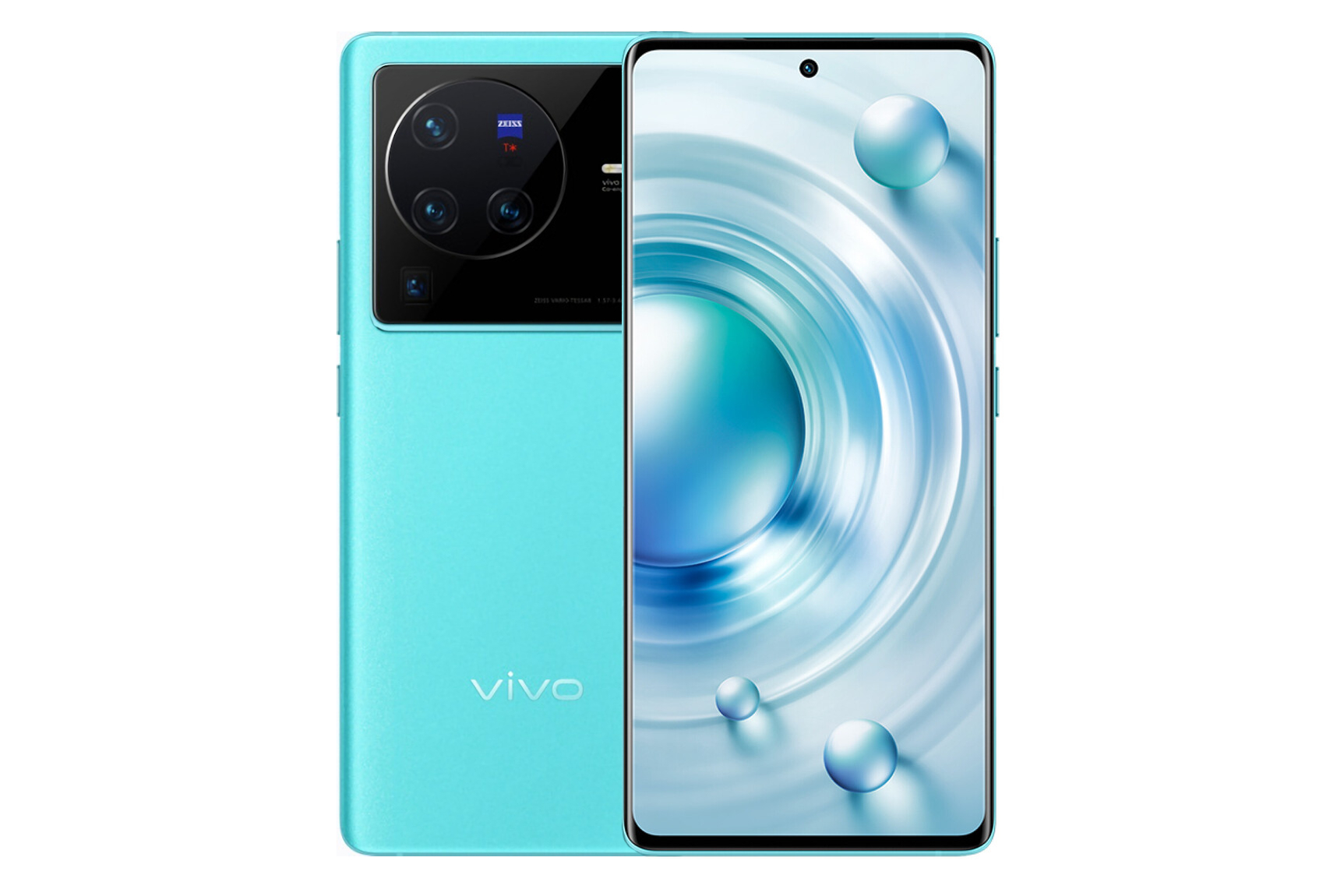 80x vivo