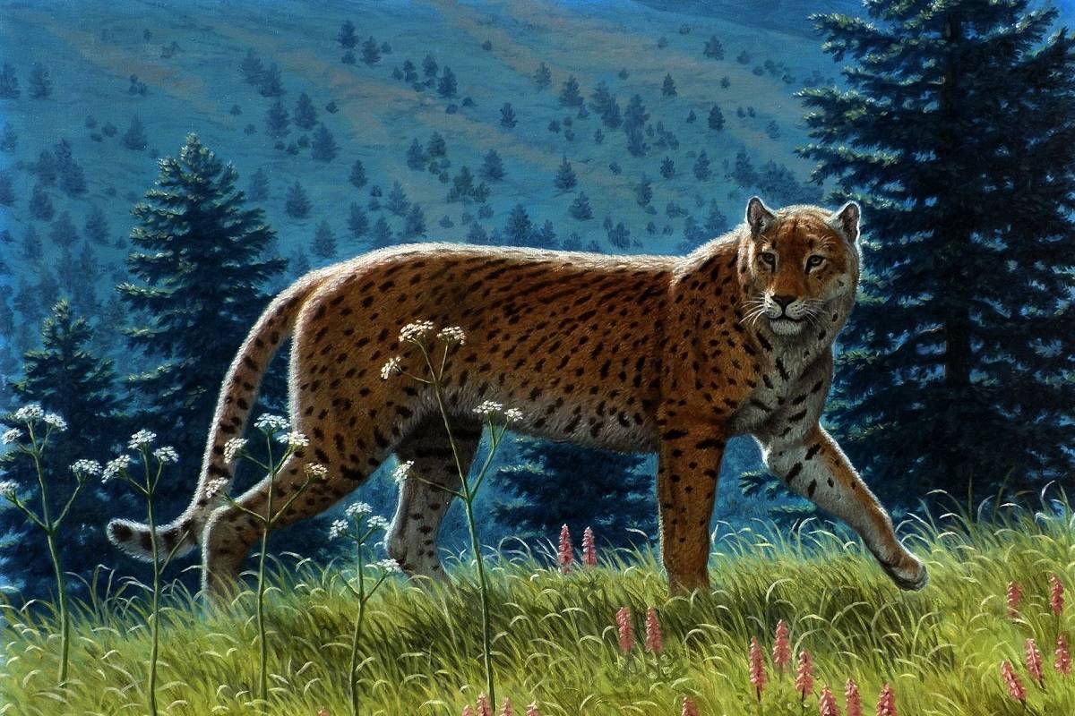 شواهد فسیلی ۲۰ هزار ساله از نبرد مرگبار دو یوزپلنگ آمریکایی منقرض‌شده حکایت می‌کنند