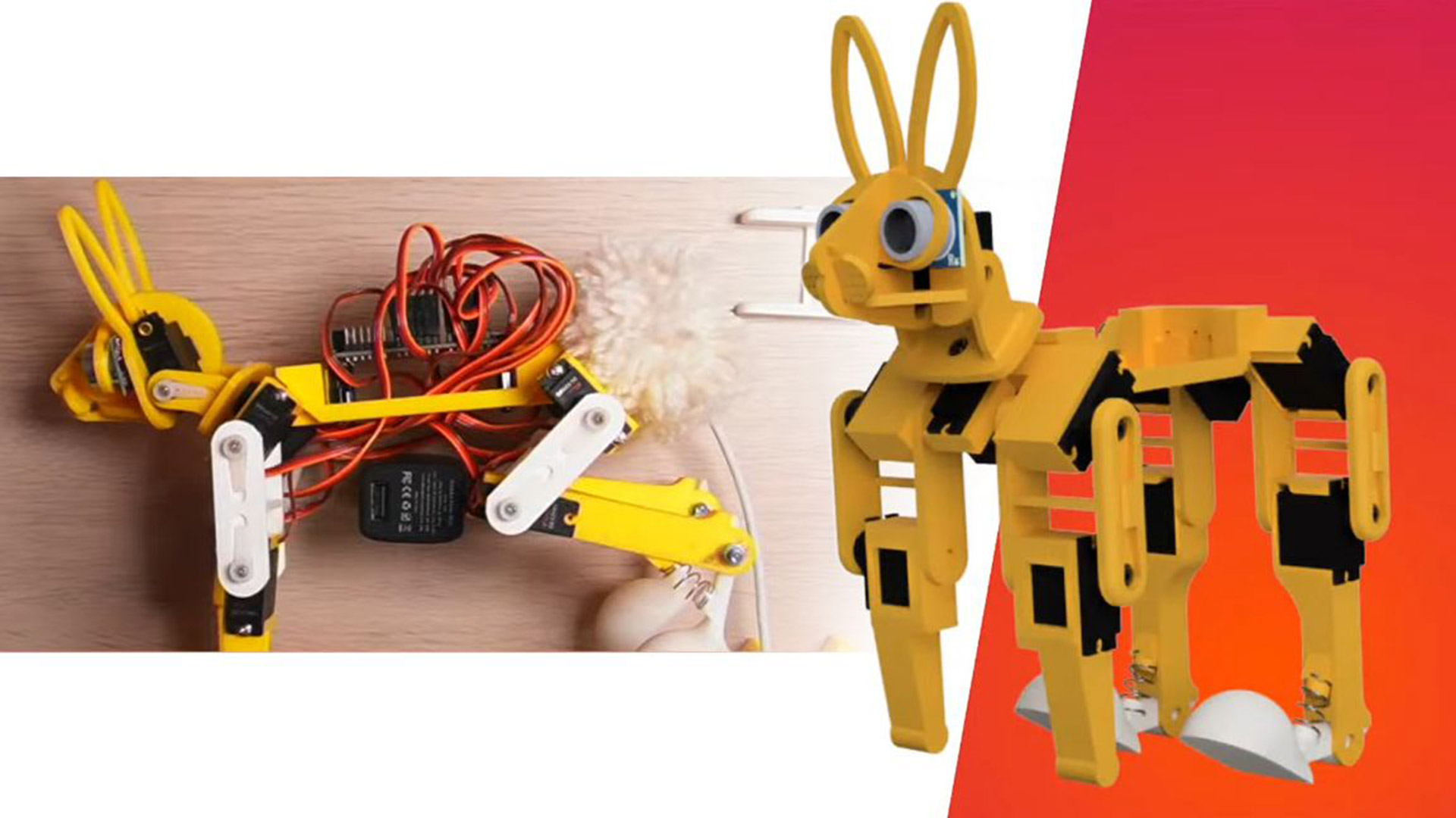 پروژه خرگوش رباتیک رزبری پای