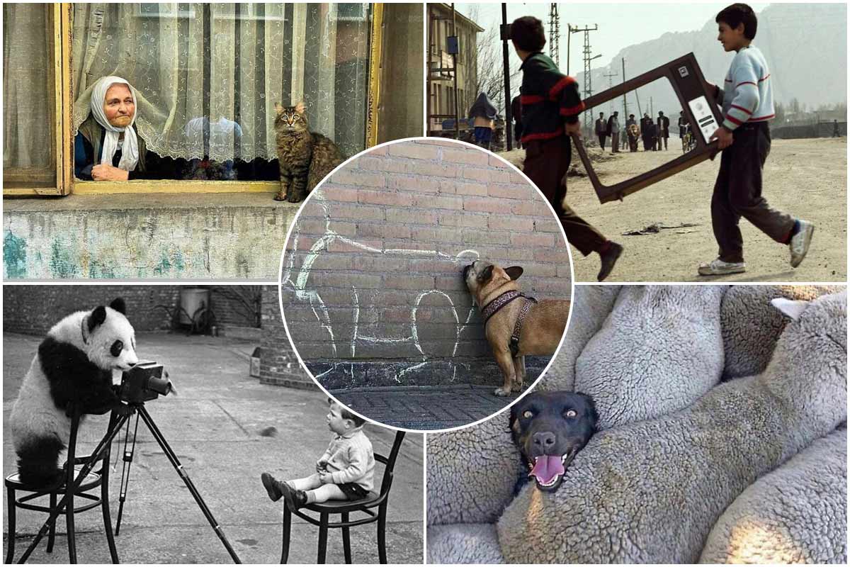  بنیاد عکاسان خیابانی؛ در ستایش عکس‌های تصادفی خیابانی