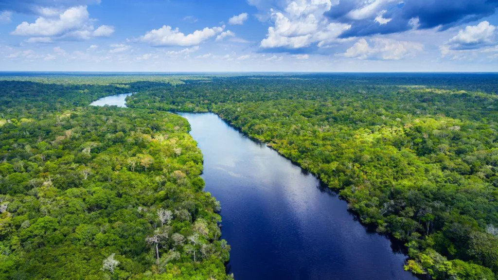  نمای هوایی از رود آمازون