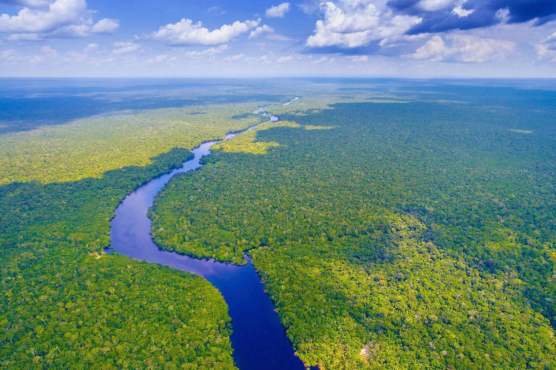 چرا هیچ پلی روی رودخانه‌ آمازون وجود ندارد؟