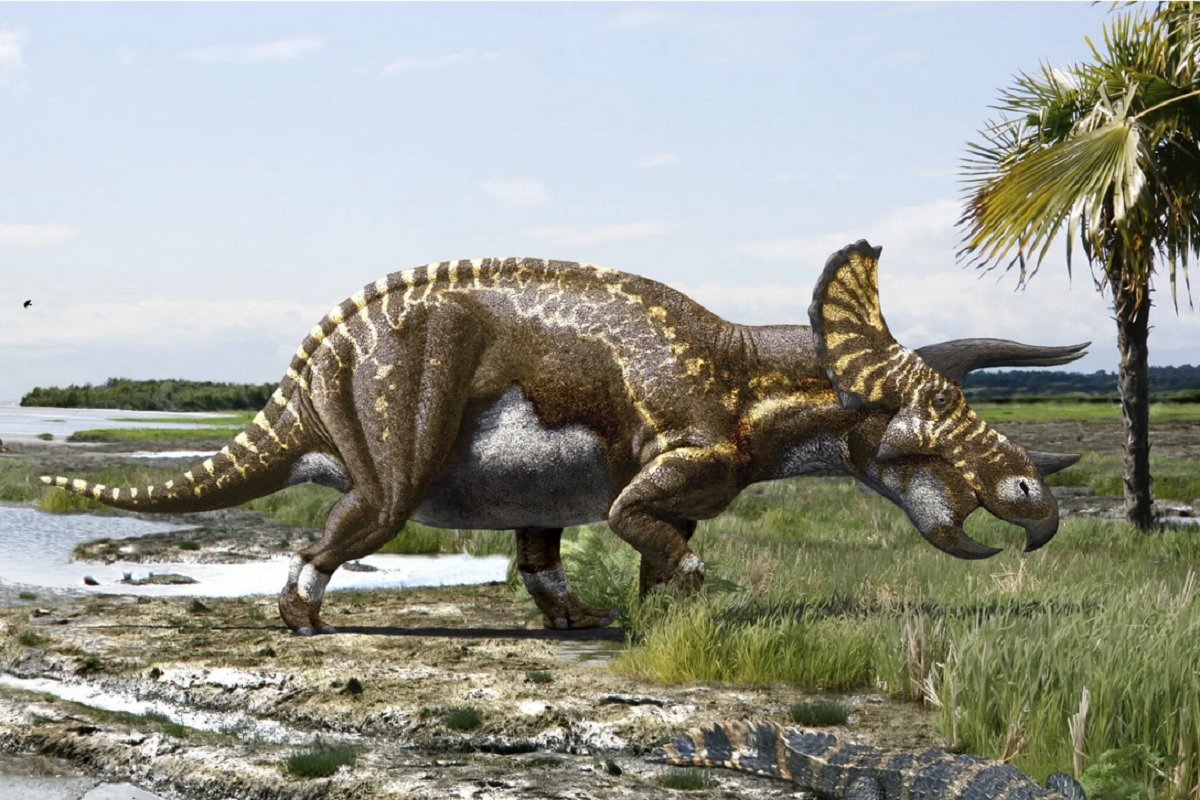برخی دایناسورهای خونگرم در جریان تکامل به جاندارانی خونسرد تبدیل شدند
