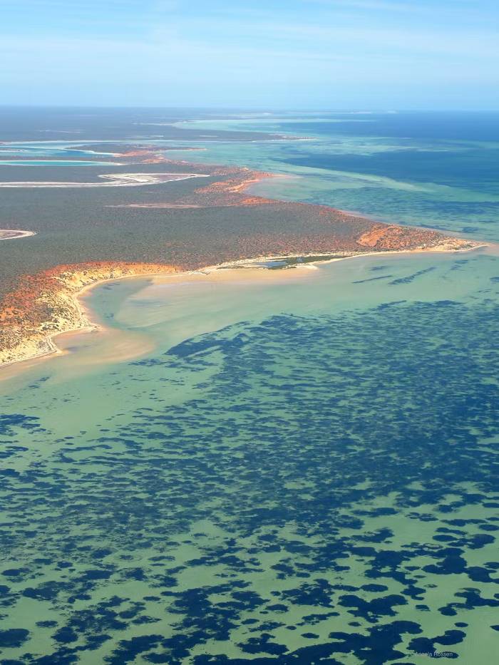 خلیج کوسه / Shark Bay