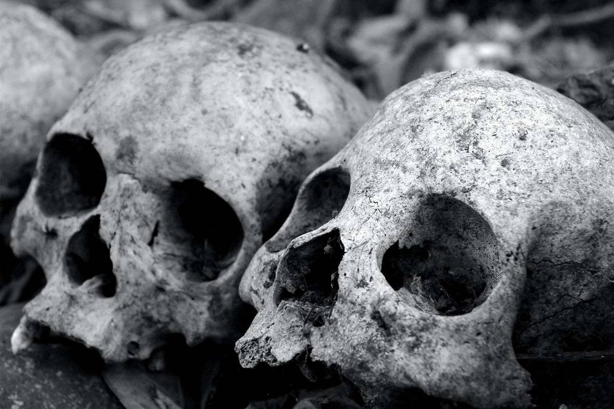 معمای مرگ سیاه؛ ژنوم‌های باستانی منشأ طاعون مرگبار قرون وسطی را فاش کردند