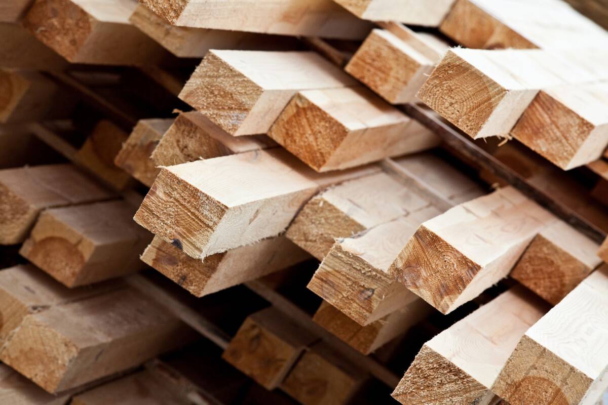 دانشمندان می‌گویند با چوب رشدیافته در آزمایشگاه می‌توان خانه ساخت