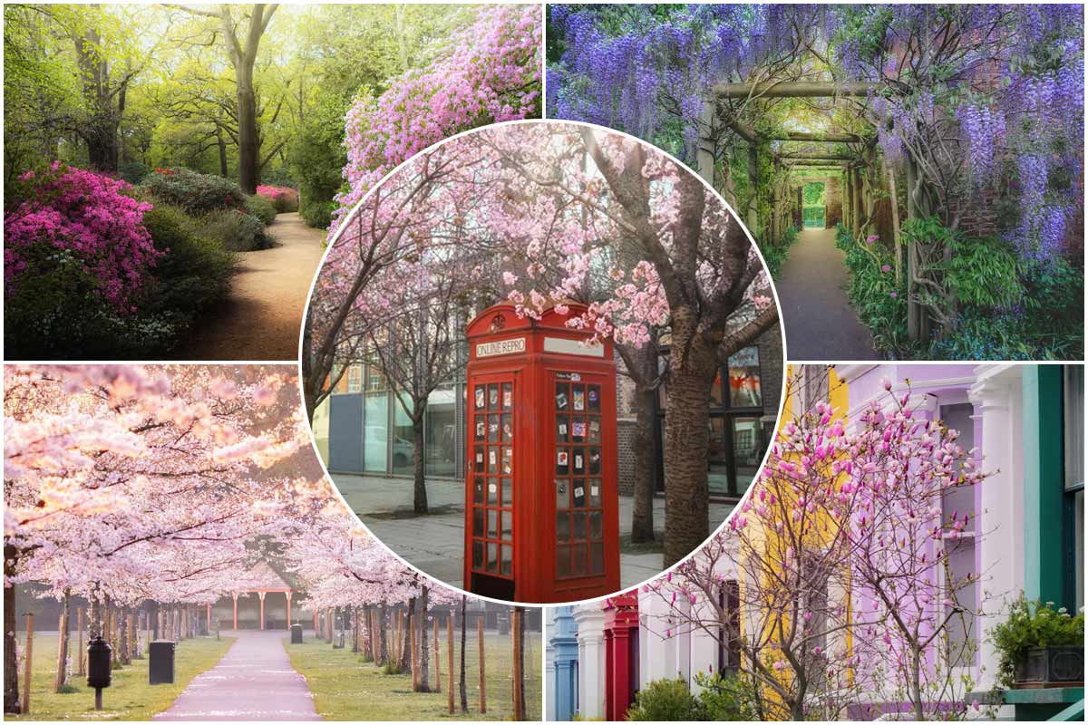 زیبایی خیره‌کننده بهار در لندن