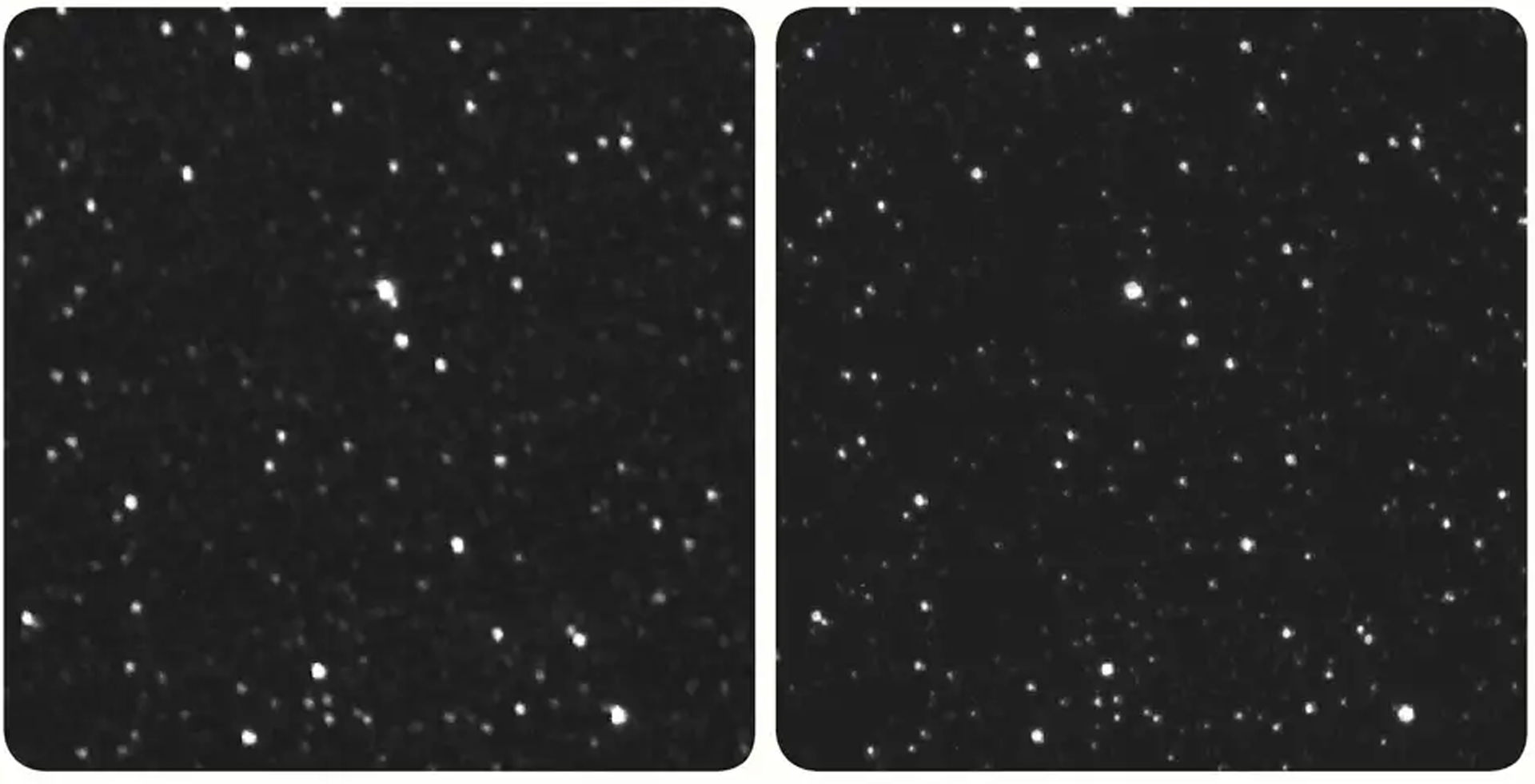 دو نمای متفاوت از پروکسیما قنطورس از زمین و فضایپیما نیو هورایزنز ناسا