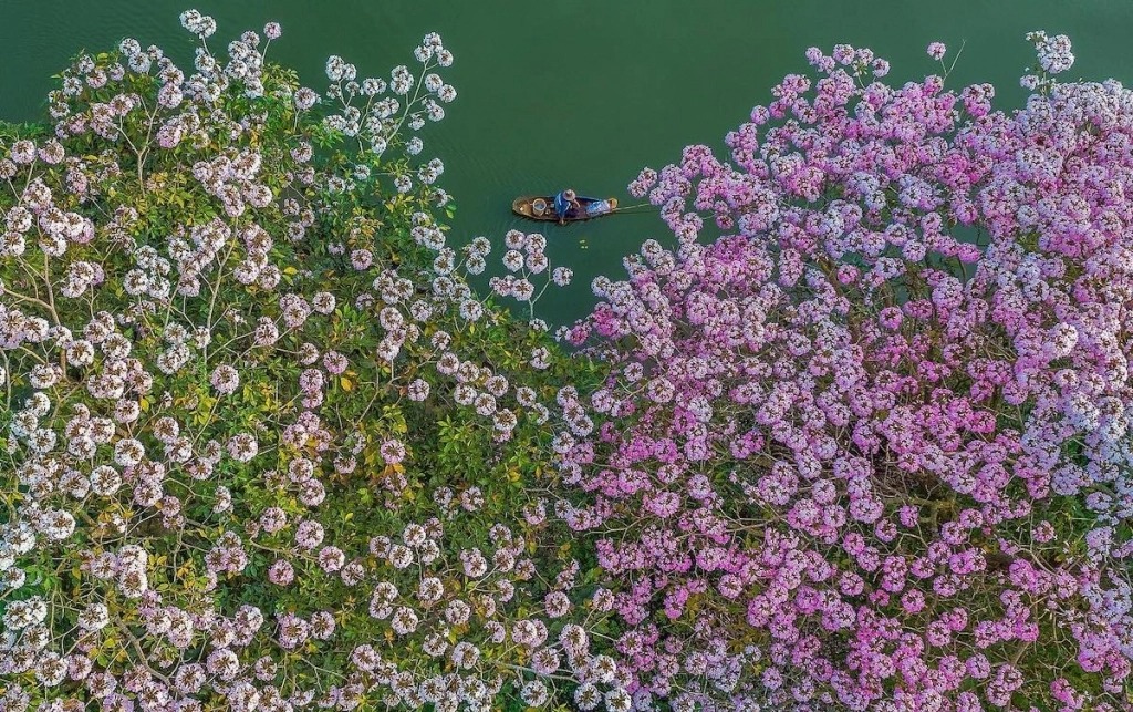 عکس های هوایی از مناظر سرسبز ویتنام