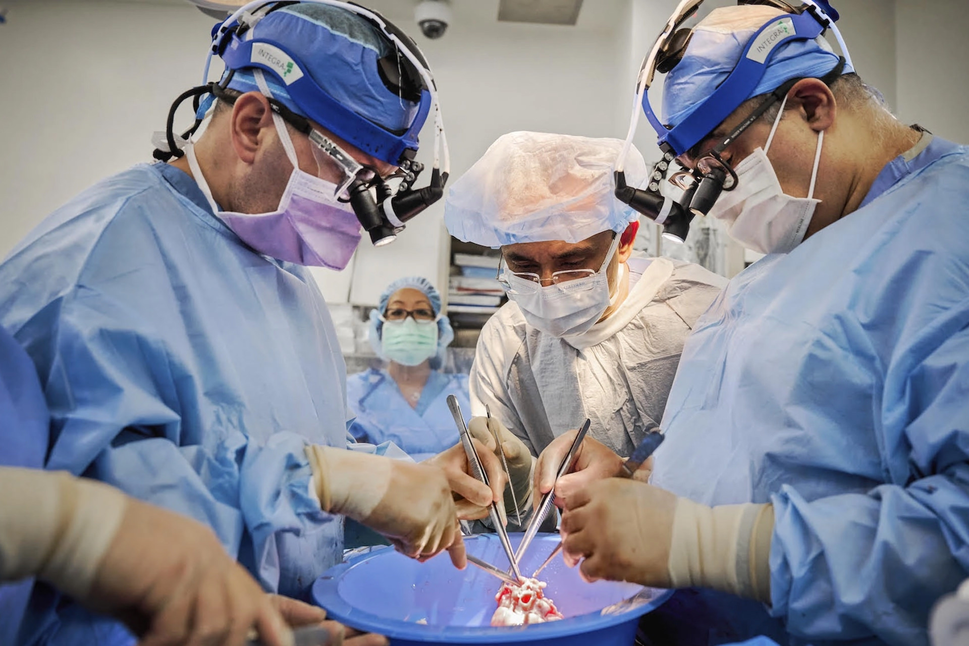تیم پزشکی به سرپرستی جراح ایرانی، قلب خوک را به دو بیمار مرگ مغزی پیوند زد