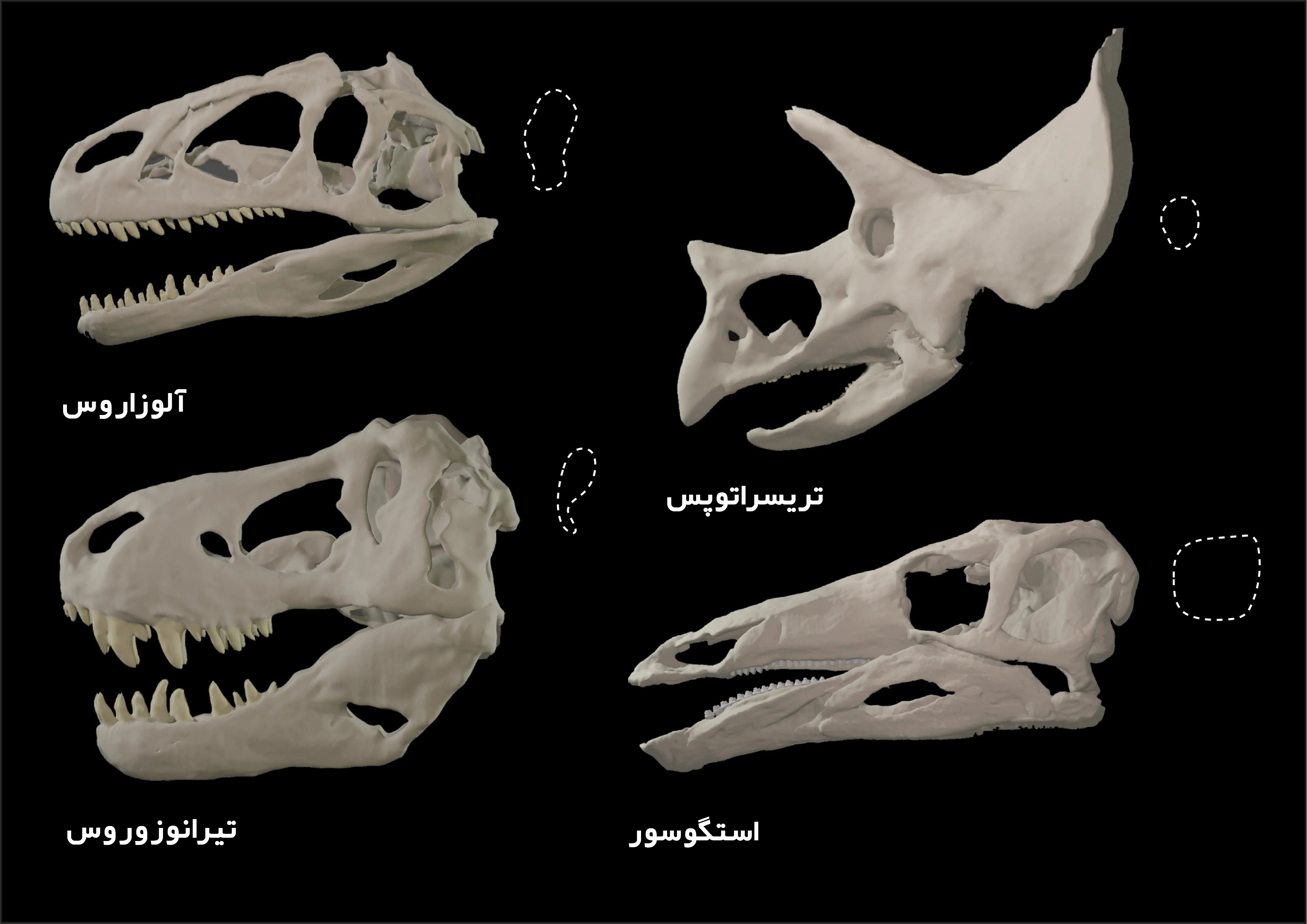 공룡 두개골의 변형