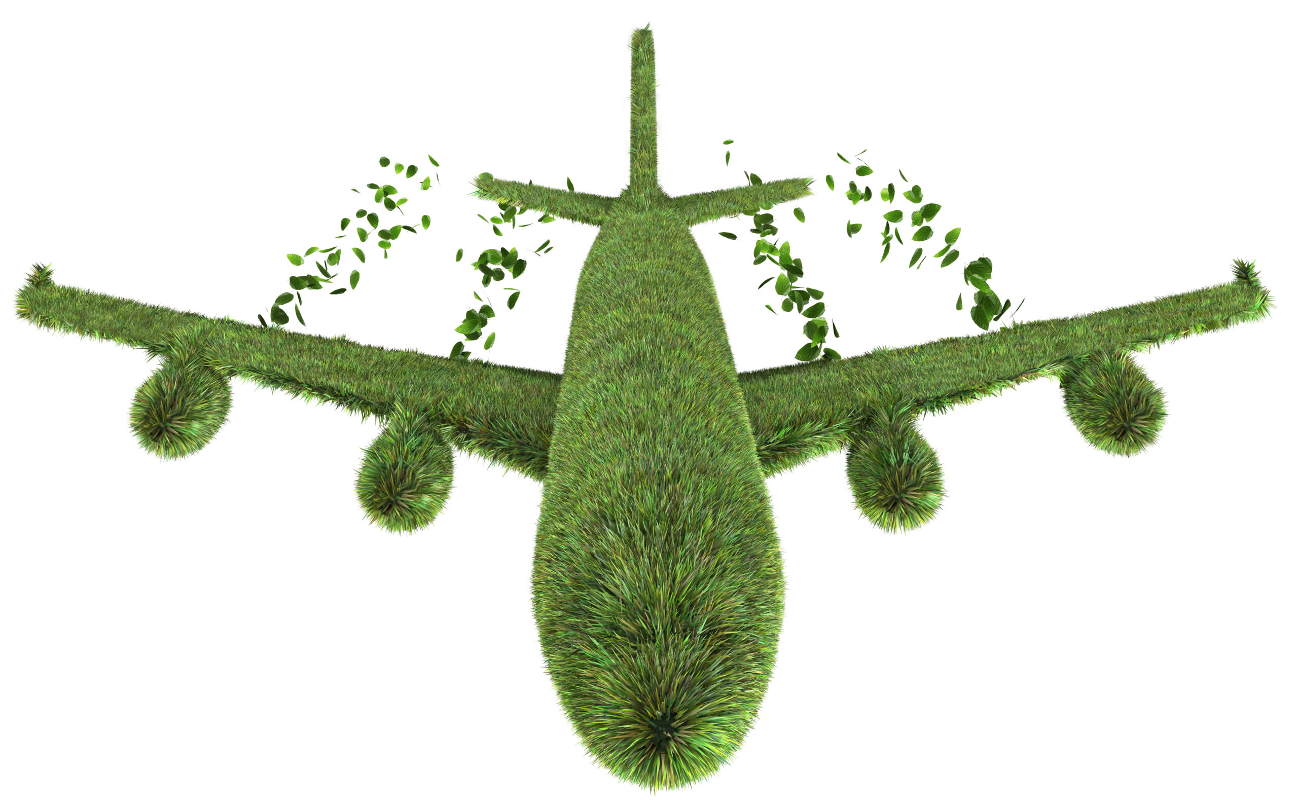 هوانوردی هواپیما سوخت های سبز بیوفیول