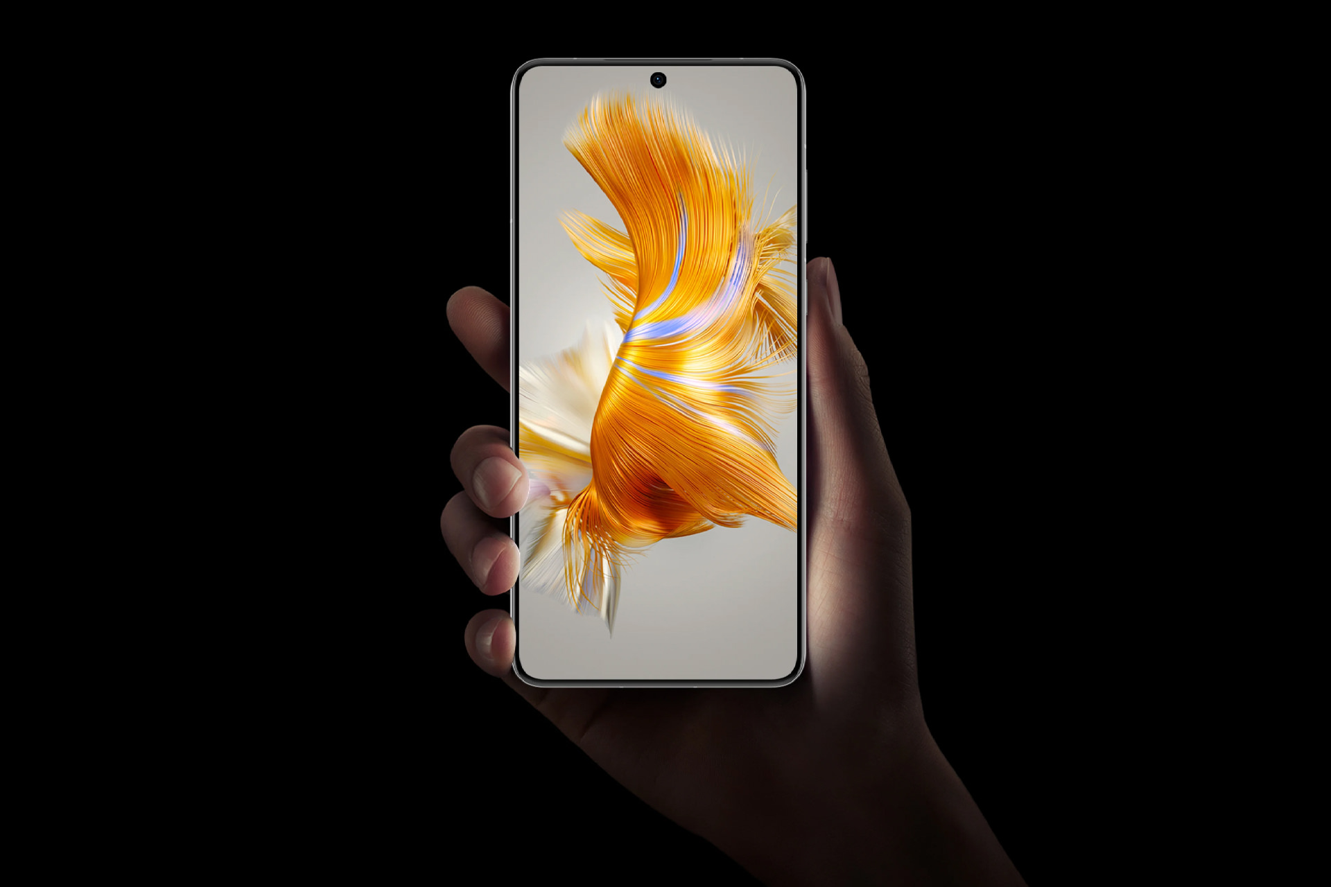 هواوی میت ۵۰ معمولی Huawei Mate 50 از نمای جلو در دست