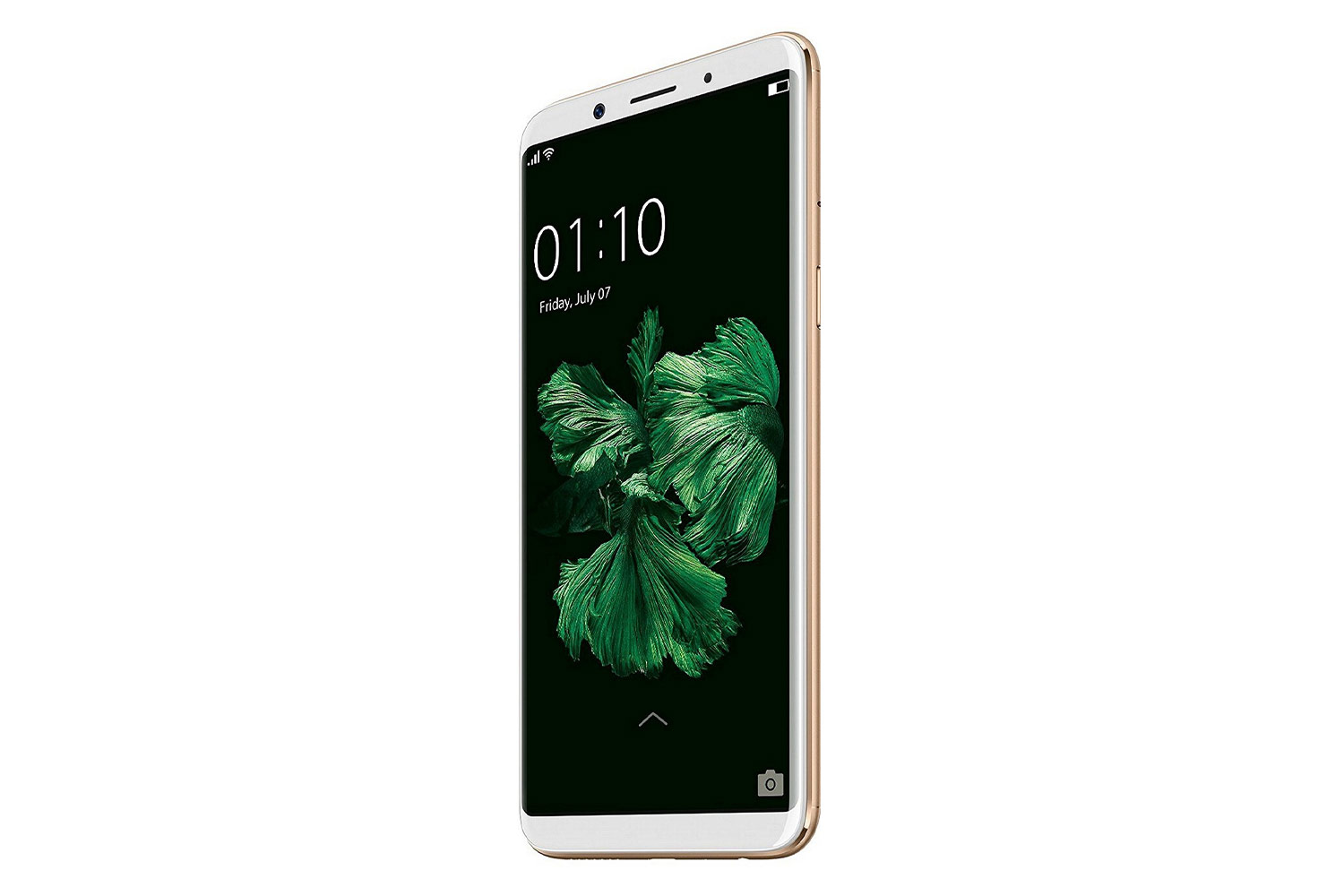 oppo f5 mobile display