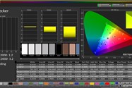 دقت رنگ در فضای رنگی sRGB در حالت True Tone - آیفون ۱۱ پرو اپل
