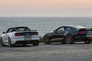 Mustang Shelby GT 2019