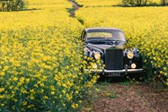 lunaz electric-classic cars