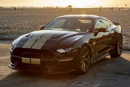 Mustang Shelby GT 2019