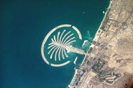 جزایر نخل دوبی