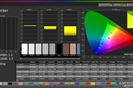 دقت رنگ در فضای رنگی sRGB در حالت True Tone - آیفون ۱۱ پرو مکس اپل